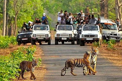 Painganga Wildlife Sanctuary