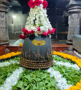 Shri Aundha Nagnath Temple